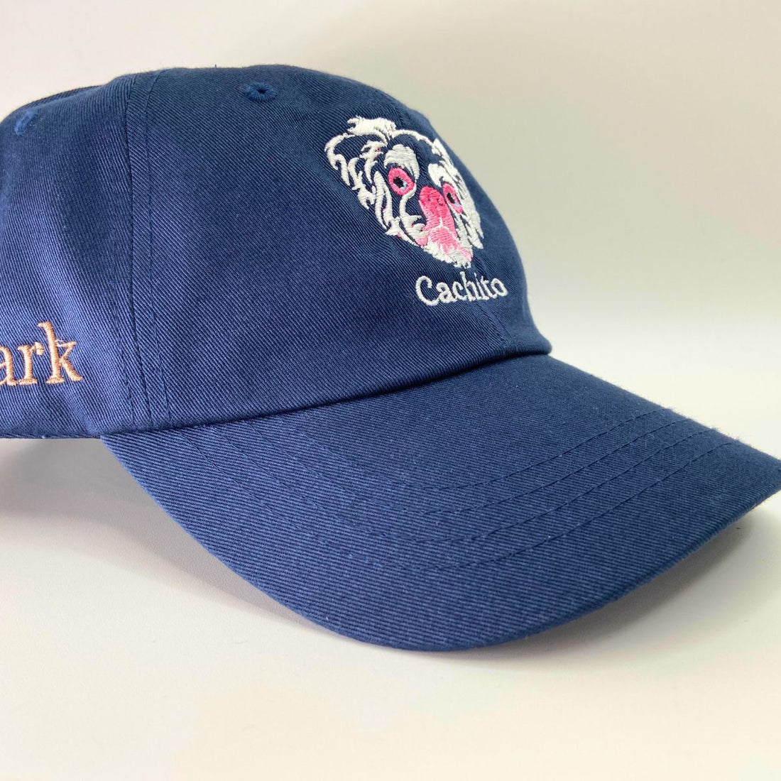 embroidered dog hat