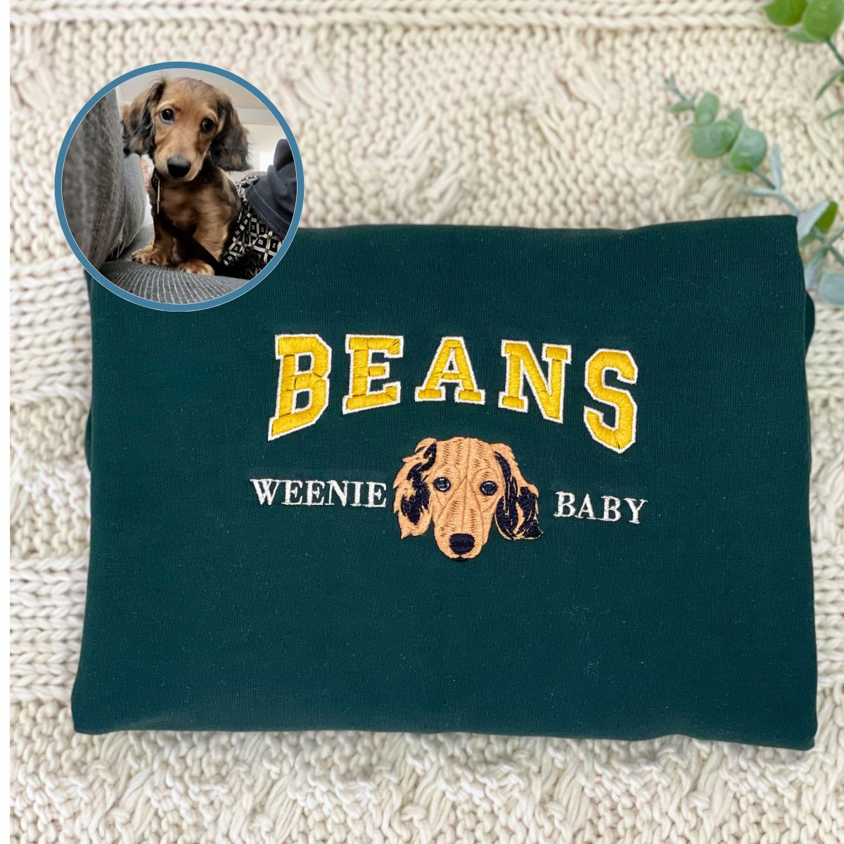 Personalized Varsity Dog Embroidered Sweater