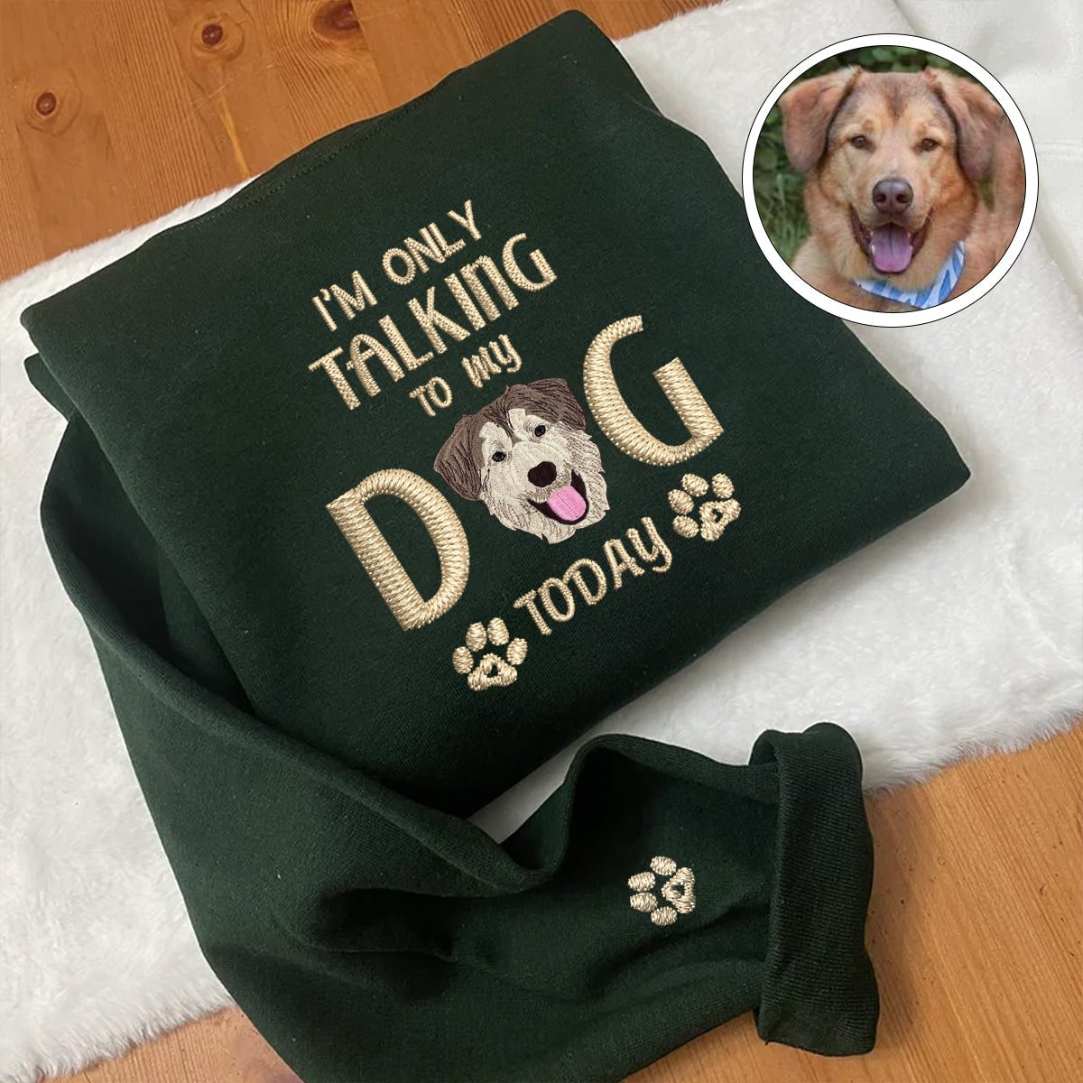 Custom Embroidered I'm Only Talking To My Dog Today Hoodie