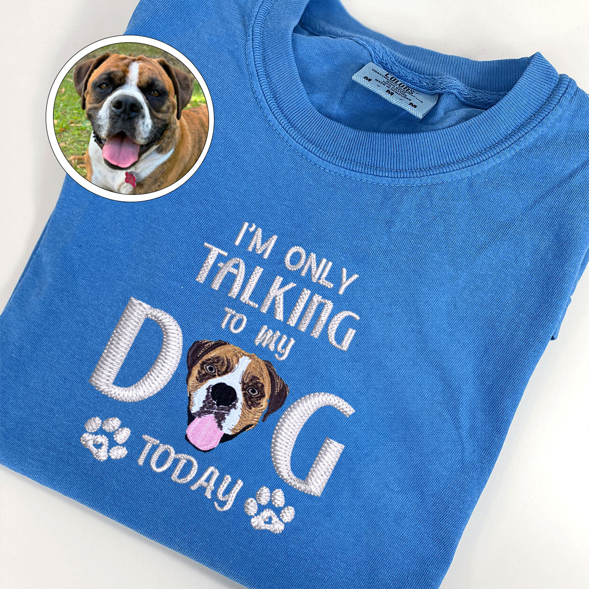 Custom Embroidered I'm Only Talking To My Dog Today T-Shirt